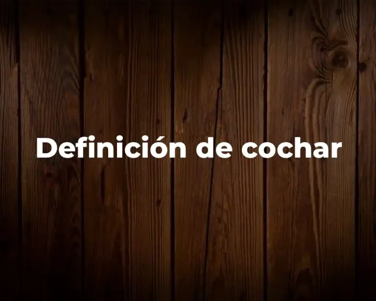 Definición de cochar