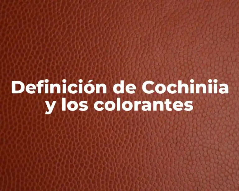 Definición de Cochiniia y los colorantes