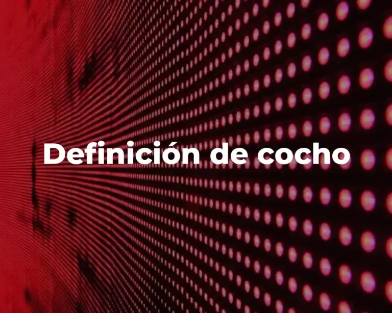 Definición de cocho