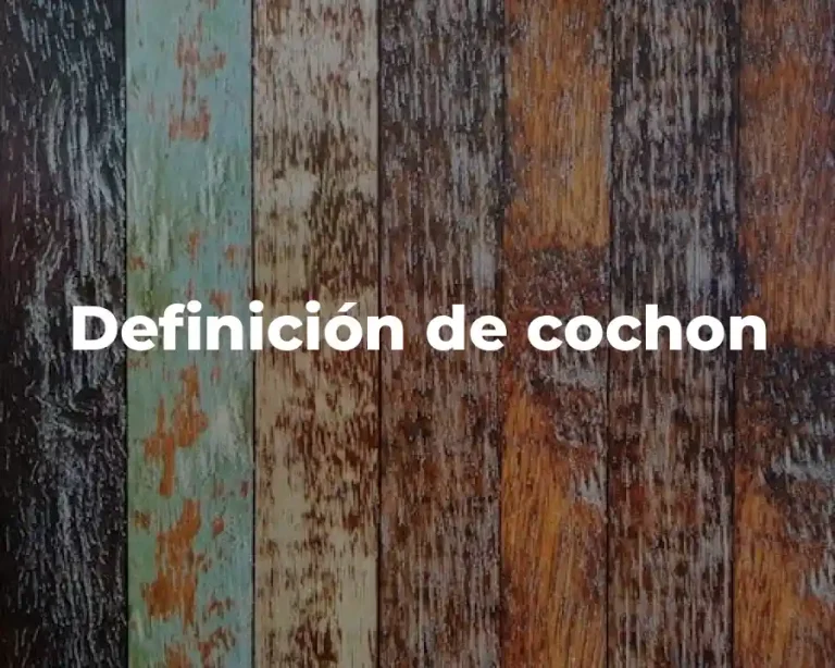 Definición de cochon