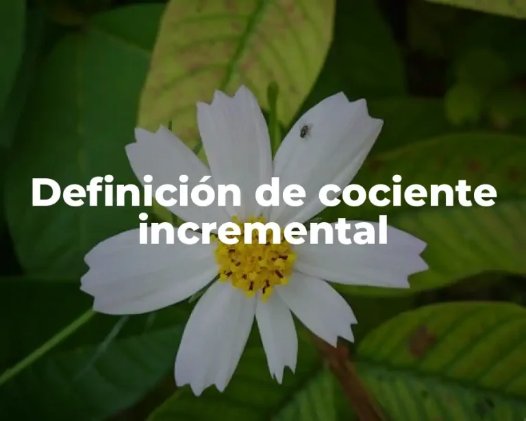 Definición de cociente incremental