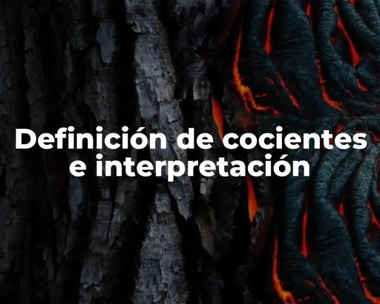 Definición de cocientes e interpretación
