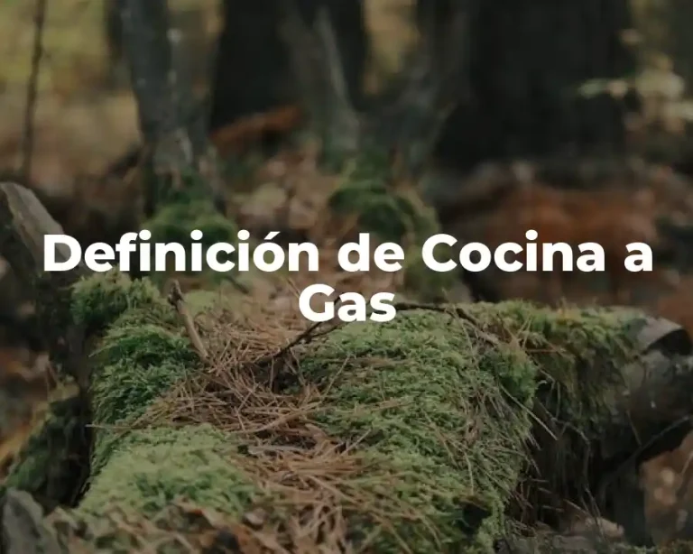 Definición de Cocina a Gas