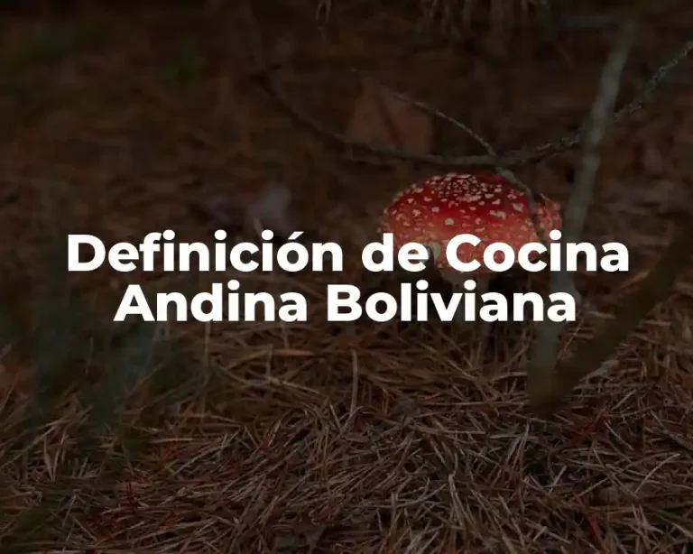 Definición de Cocina Andina Boliviana
