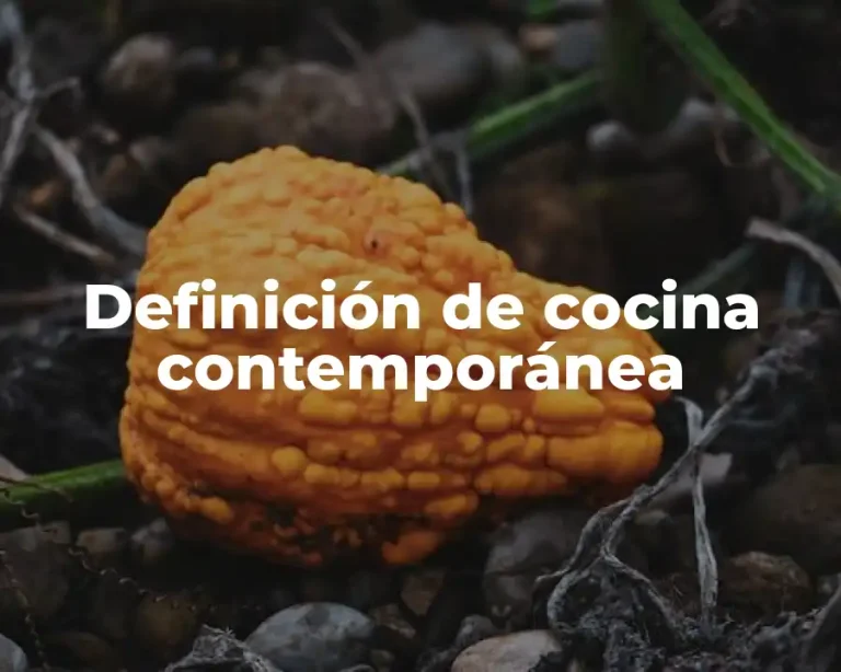 Definición de cocina contemporánea