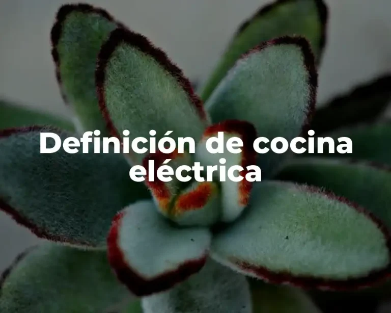Definición de cocina eléctrica