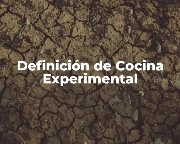 Definición de Cocina Experimental
