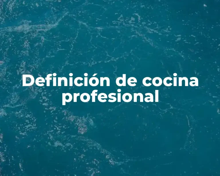 Definición de cocina profesional