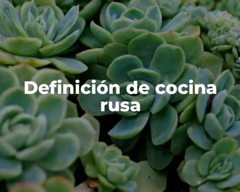 Definición de cocina rusa