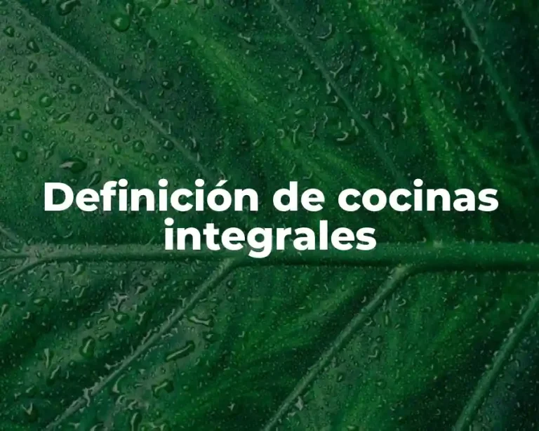 Definición de cocinas integrales