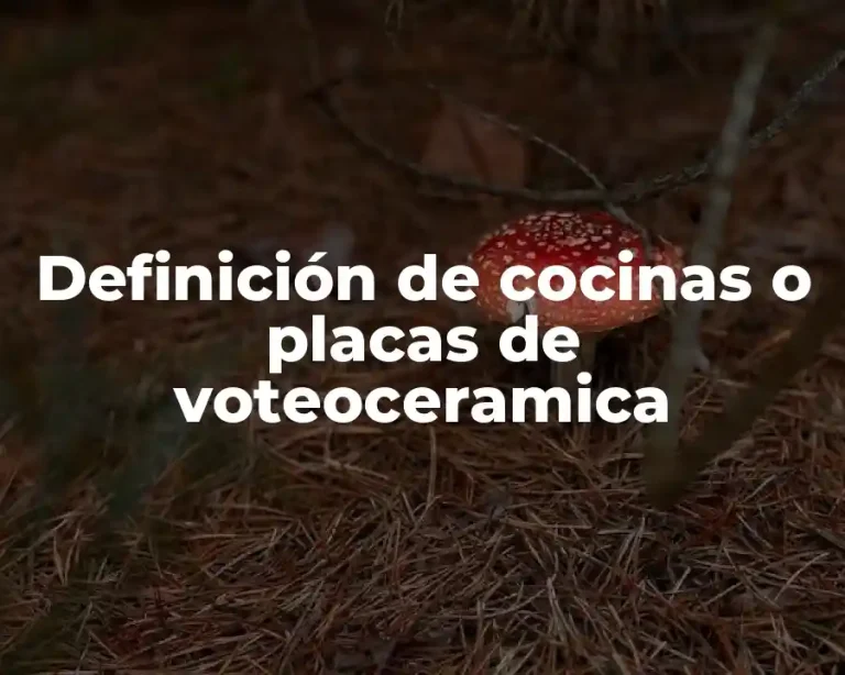 Definición de cocinas o placas de voteoceramica