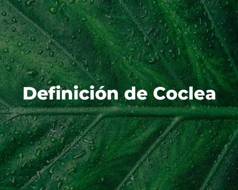 Definición de Coclea