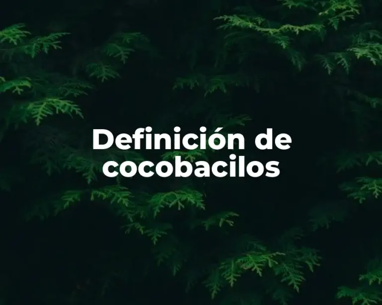 Definición de cocobacilos