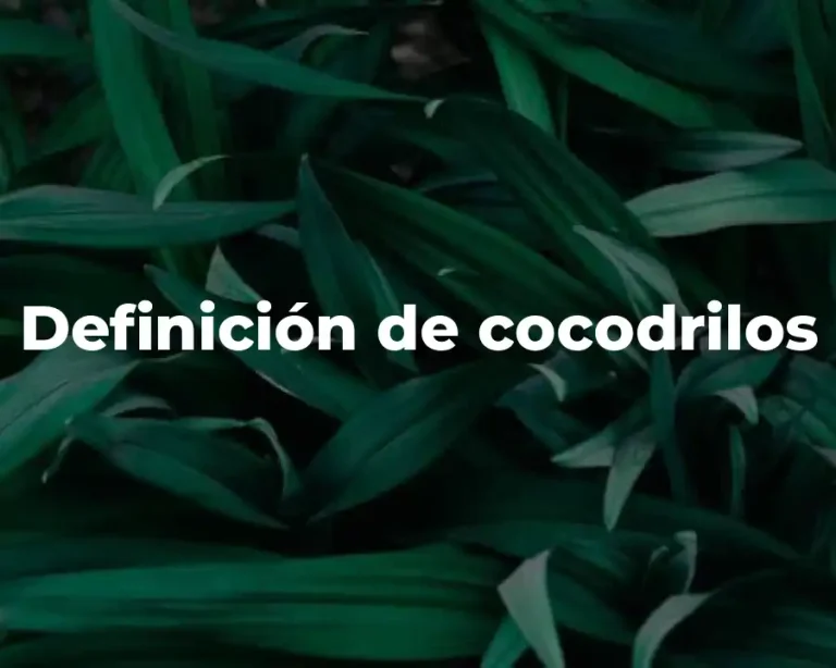 Definición de cocodrilos