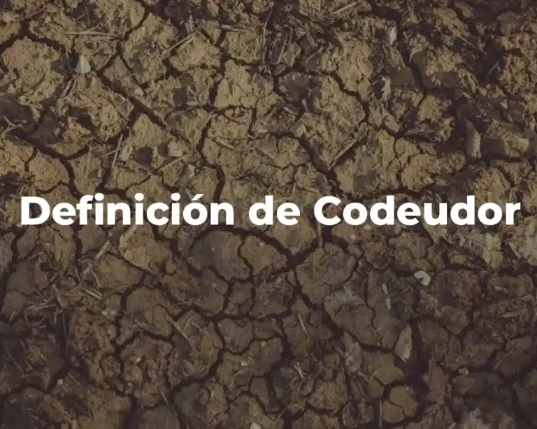 Definición de Codeudor