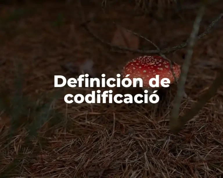 Definición de codificació