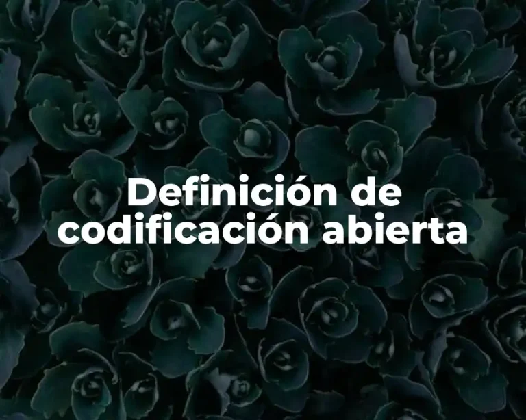 Definición de codificación abierta