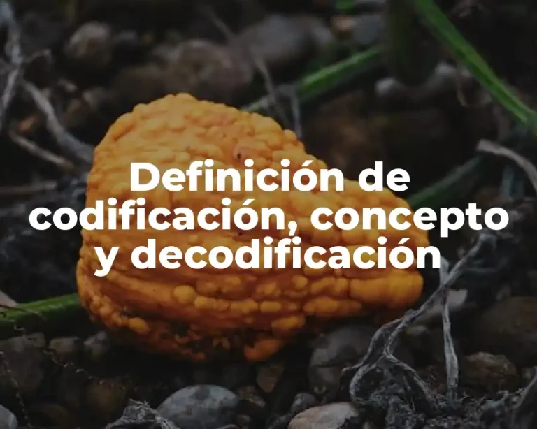 Definición de codificación, concepto y decodificación