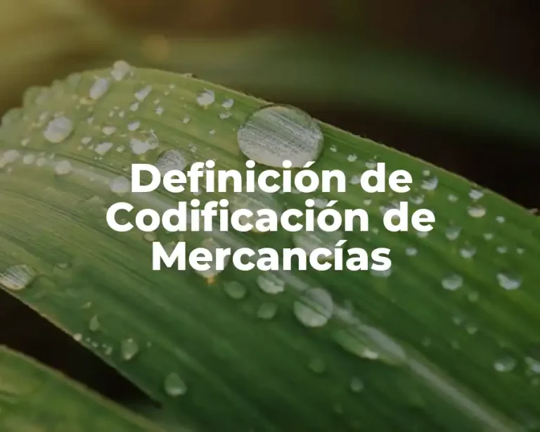 Definición de Codificación de Mercancías
