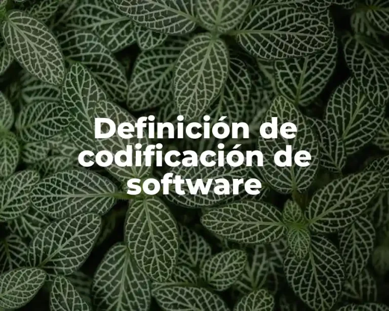 Definición de codificación de software