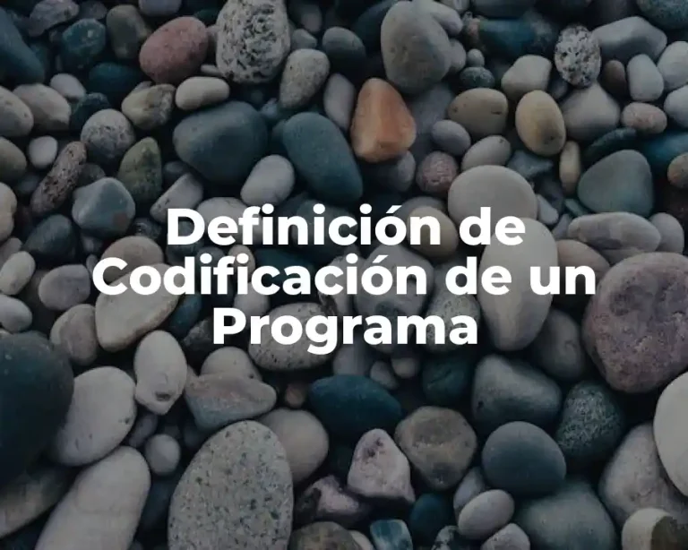Definición de Codificación de un Programa