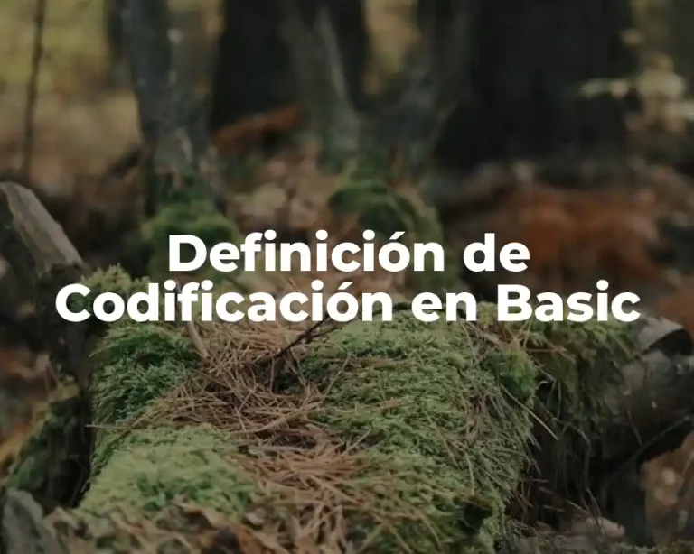 Definición de Codificación en Basic