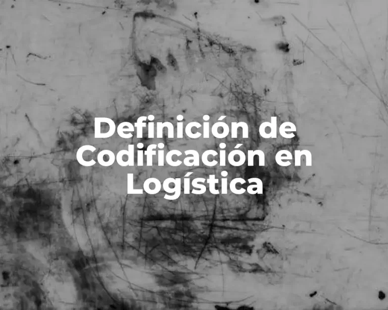 Definición de Codificación en Logística