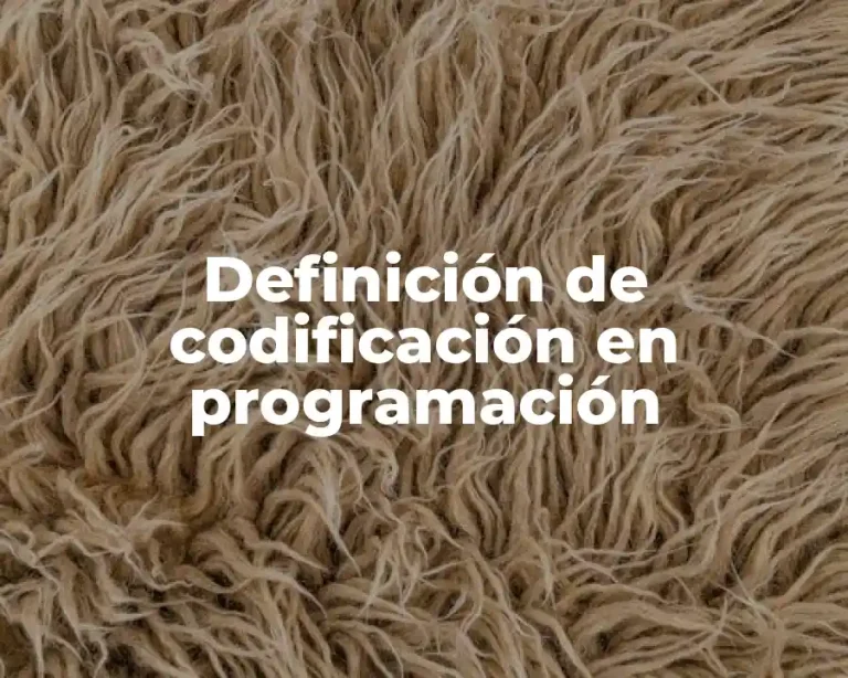 Definición de codificación en programación