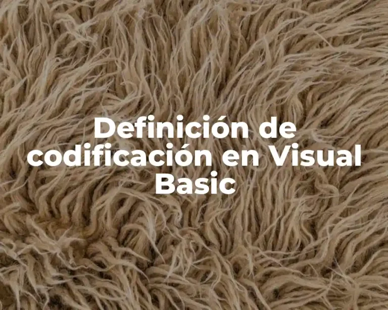 Definición de codificación en Visual Basic