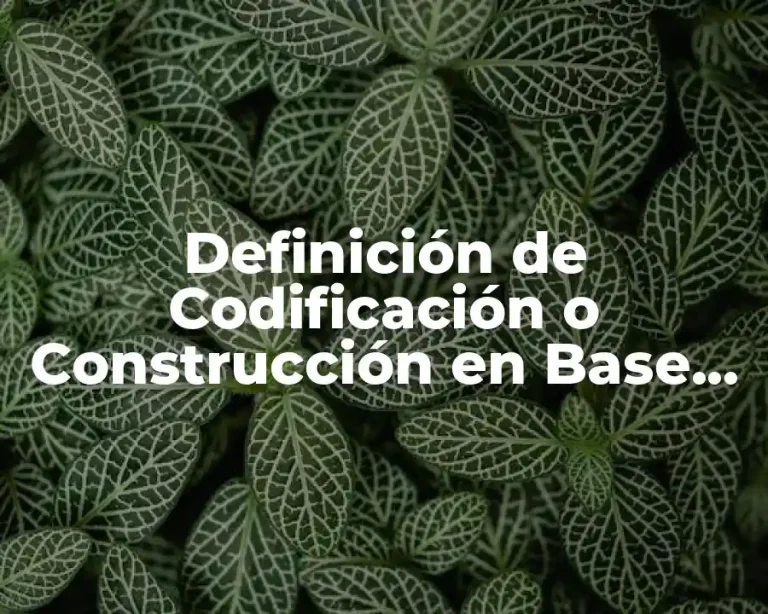 Definición de Codificación o Construcción en Base de Datos