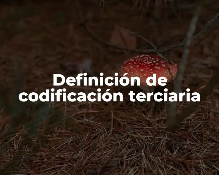 Definición de codificación terciaria