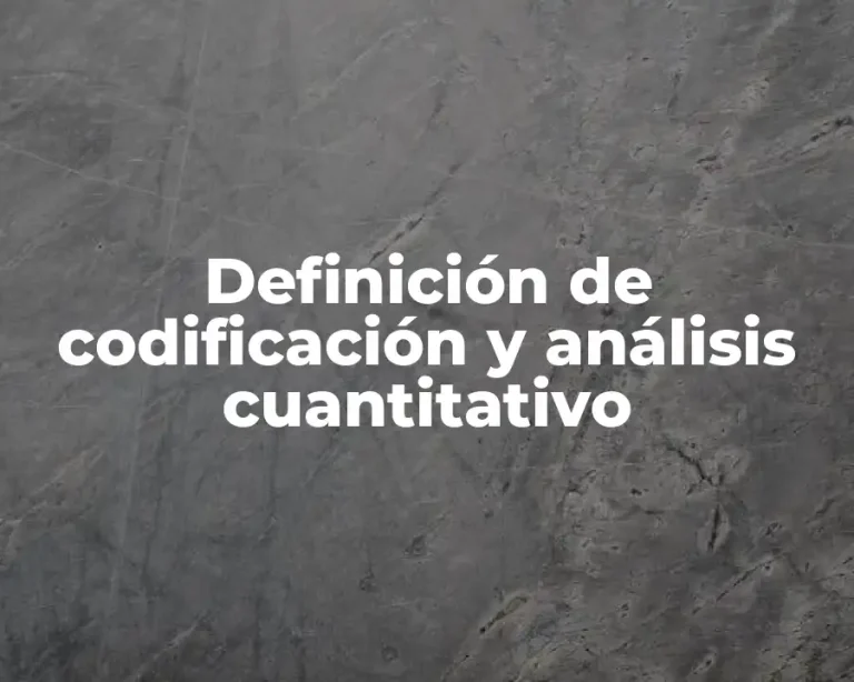 Definición de codificación y análisis cuantitativo