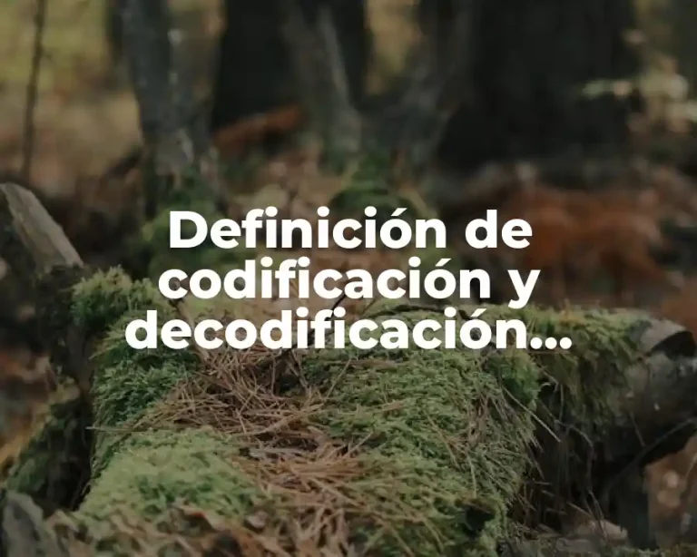 Definición de codificación y decodificación ejemplos