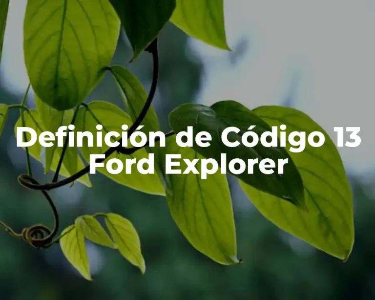 Definición de Código 13 Ford Explorer