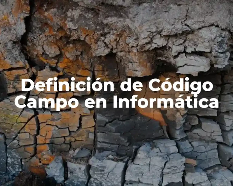 Definición de Código Campo en Informática