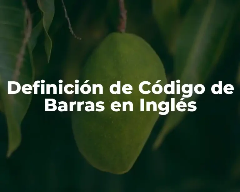 Definición de Código de Barras en Inglés