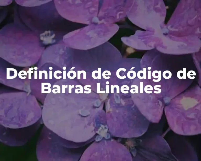 Definición de Código de Barras Lineales
