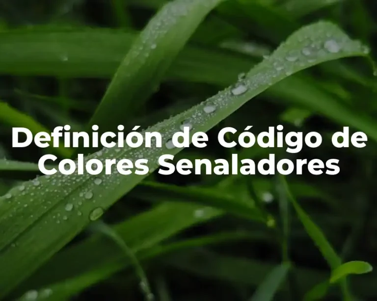 Definición de Código de Colores Senaladores