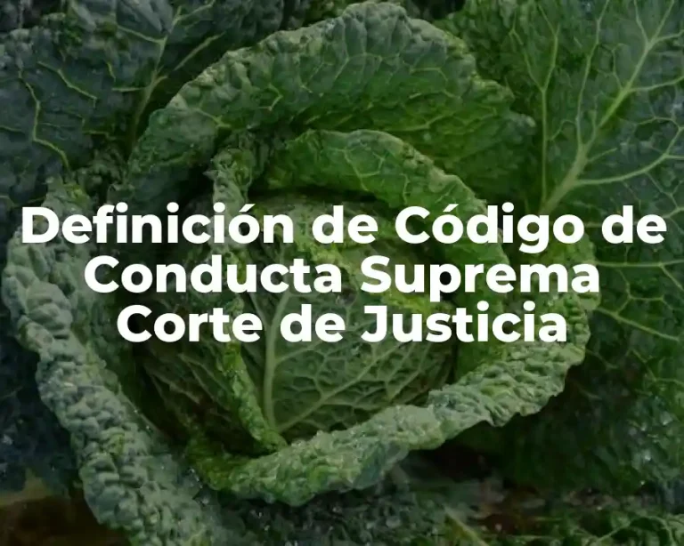 Definición de Código de Conducta Suprema Corte de Justicia