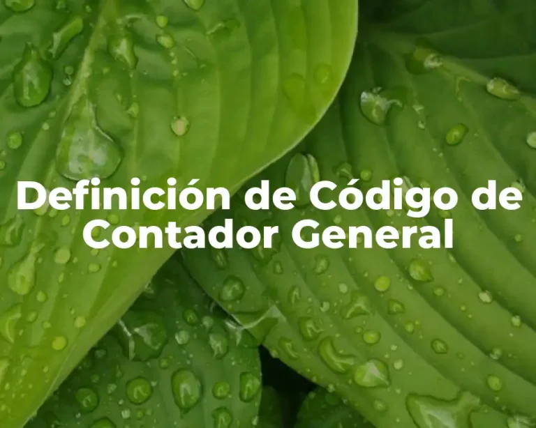 Definición de Código de Contador General