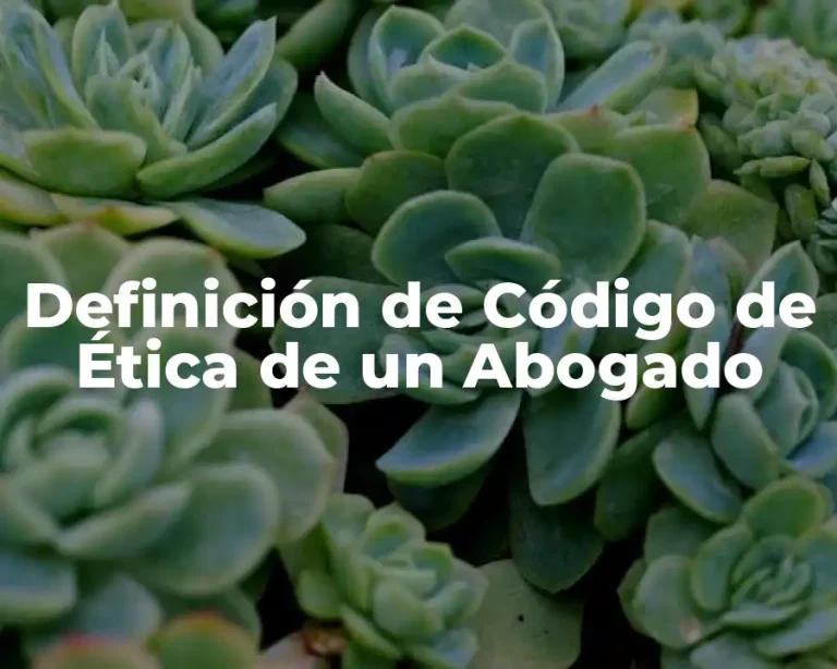 Definición de Código de Ética de un Abogado
