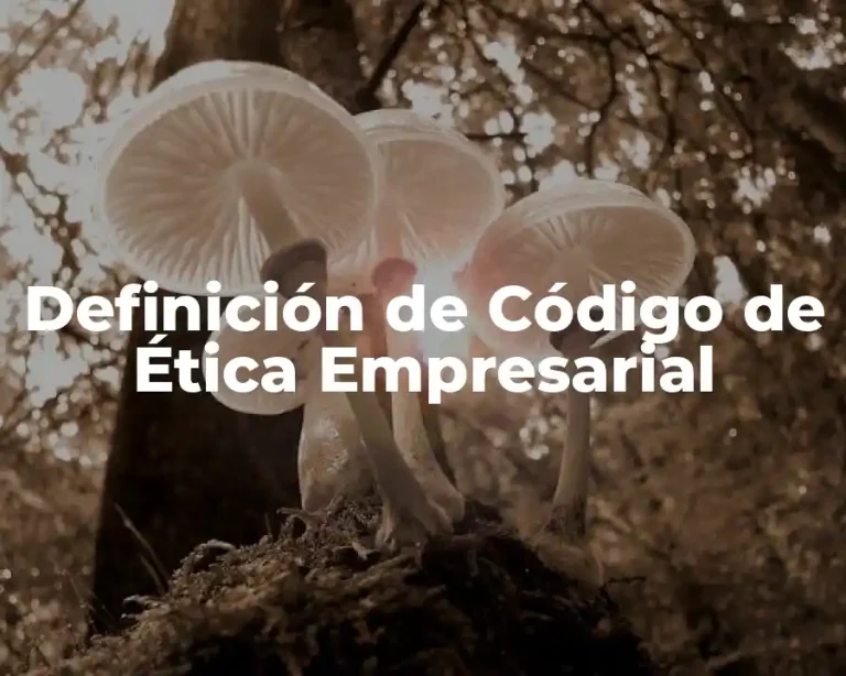 Definición de Código de Ética Empresarial
