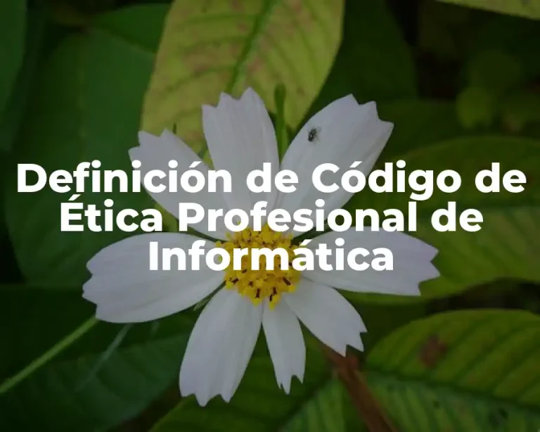 Definición de Código de Ética Profesional de Informática
