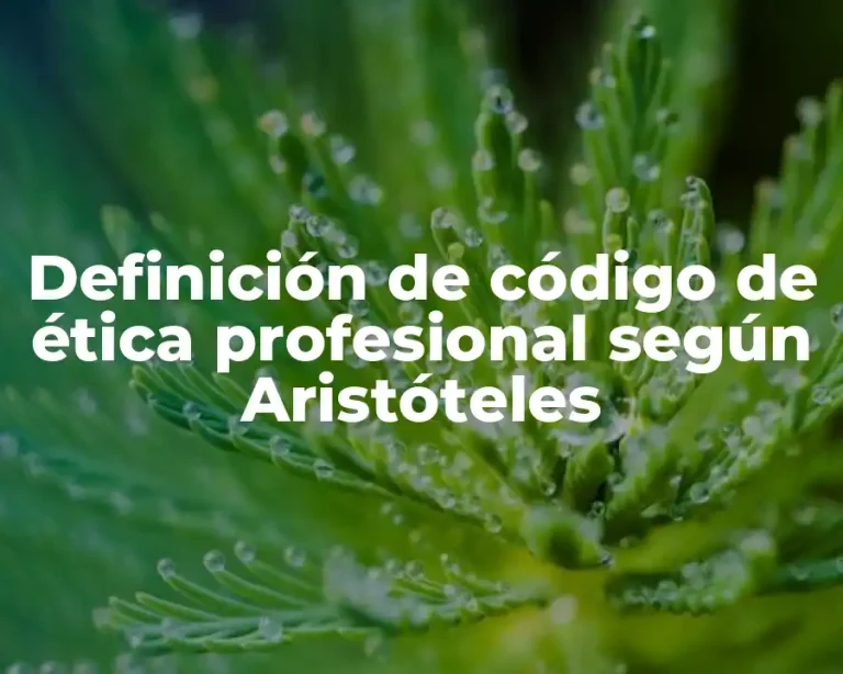 Definición de código de ética profesional según Aristóteles