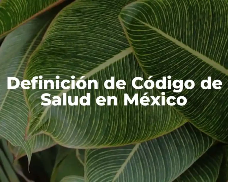 Definición de Código de Salud en México