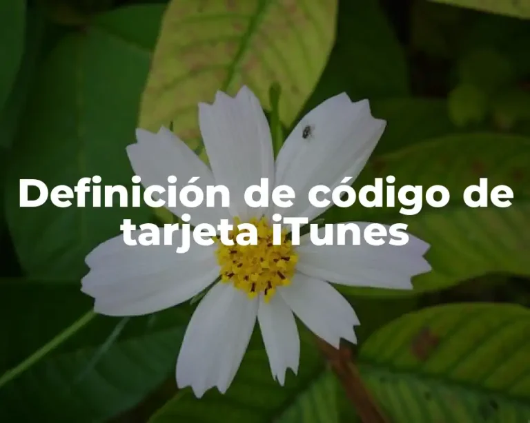 Definición de código de tarjeta iTunes
