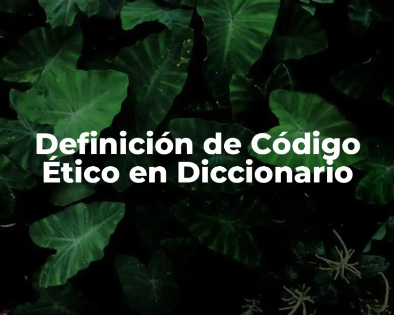 Definición de Código Ético en Diccionario