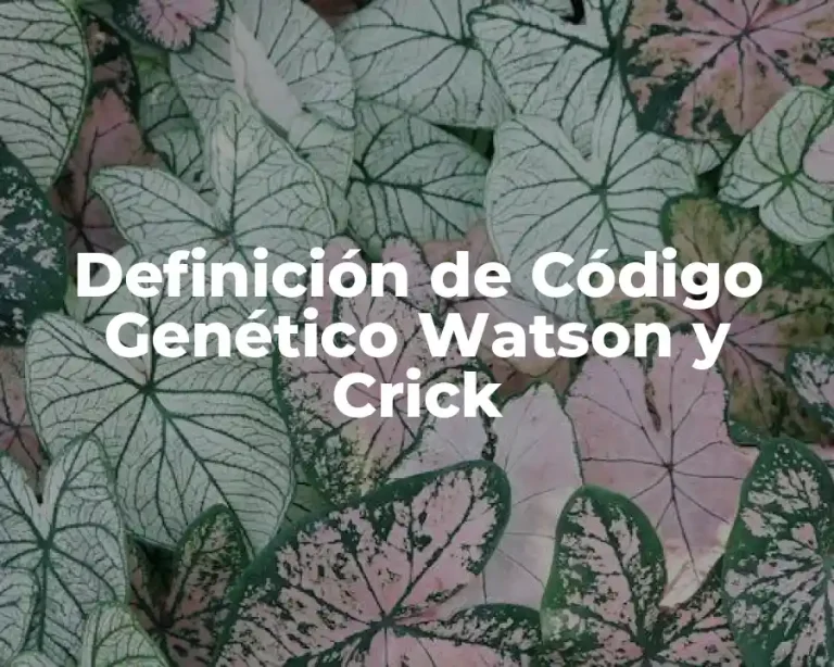 Definición de Código Genético Watson y Crick