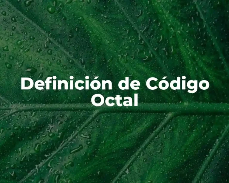 Definición de Código Octal