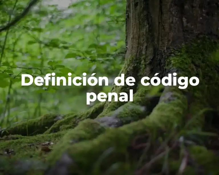 Definición de código penal